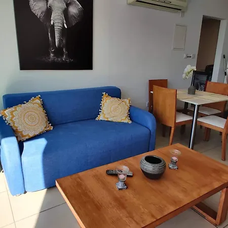 Brand New 1bedroom In The Heart Διαμέρισμα *